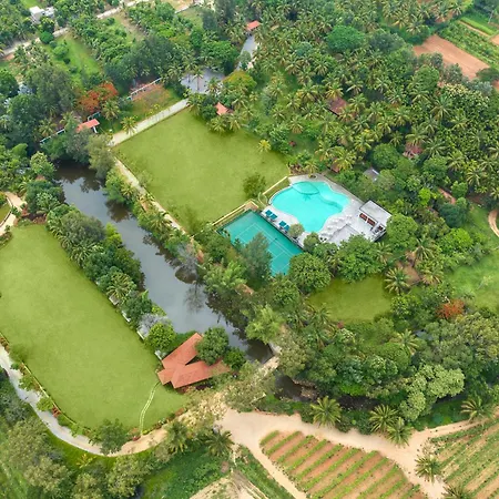 Big Banyan Vineyard & Resort-2